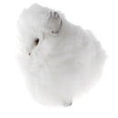 Vivid Simulation Plush Animal Model Figures Home Decoration Kids Toy Birthday Gift - Sheep