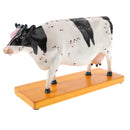 Professional 68 Acupuncture Points Cattle Anatomical Model School Teaching Tool Lab Supplies