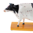 Professional 68 Acupuncture Points Cattle Anatomical Model School Teaching Tool Lab Supplies