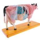 Professional 68 Acupuncture Points Cattle Anatomical Model School Teaching Tool Lab Supplies