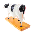 Professional 68 Acupuncture Points Cattle Anatomical Model School Teaching Tool Lab Supplies