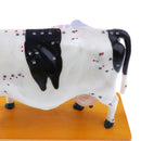 Professional 68 Acupuncture Points Cattle Anatomical Model School Teaching Tool Lab Supplies