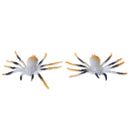 Set of 12pcs PVC Simulation Animal Spiders Model Figurine Children Science & Nature Toy Collection