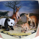 Realistic 3D Scene Box of Animal Families Model Kids Science & Nature Toy Playset - Kangaroos Panda Family