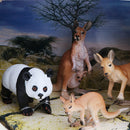 Realistic 3D Scene Box of Animal Families Model Kids Science & Nature Toy Playset - Kangaroos Panda Family