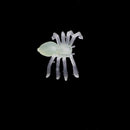 100-piece Spider Insect Model Toy Party Bag Fillers Glow In The Dark 2x1.4cm