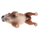 Simulation Animal Model Action Figures Kids Educational Toy Gift - Brown Bulldog