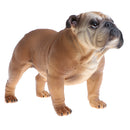 Simulation Animal Model Action Figures Kids Educational Toy Gift - Brown Bulldog