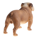 Simulation Animal Model Action Figures Kids Educational Toy Gift - Brown Bulldog