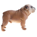 Simulation Animal Model Action Figures Kids Educational Toy Gift - Brown Bulldog