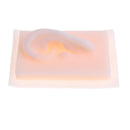 1:1 Lifesize Silicone Human Left Acupuncture Ear Model School Study Kit