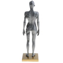 Female Anatomy Figure Superficial Muscle Anatomy Model Lab Ornament - Gray