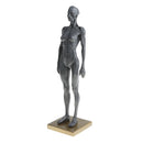 Female Anatomy Figure Superficial Muscle Anatomy Model Lab Ornament - Gray