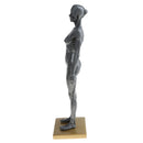 Female Anatomy Figure Superficial Muscle Anatomy Model Lab Ornament - Gray
