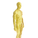 11 Inch Male Anatomy Figure Model Anatomical Reference For Artists - Yellow