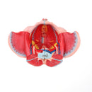 1:1 Life Size Female Pelvis Model with Vessels Ligaments Muscles Nerves & Organs Lab Supplies