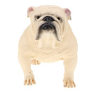 Plastic Realistic Wildlife Jungle Forest Ocean Animals Big Bulldog Dog Action Figure Toys Pet Playset, Eduactional Toys For Kids Toddler Collectibles