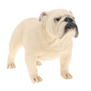 Plastic Realistic Wildlife Jungle Forest Ocean Animals Big Bulldog Dog Action Figure Toys Pet Playset, Eduactional Toys For Kids Toddler Collectibles