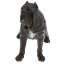 Plastic Realistic Wildlife Jungle Forest Ocean Animals Neopolitan Mastiff Dog Action Figure Toys Pet Playset, Eduactional Toys For Kids Toddler Collectibles