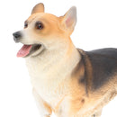 Plastic Realistic Wildlife Jungle Forest Ocean Animals Corgis Dog Action Figure Toys Pet Playset, Eduactional Toys For Kids Toddler Collectibles