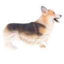 Plastic Realistic Wildlife Jungle Forest Ocean Animals Corgis Dog Action Figure Toys Pet Playset, Eduactional Toys For Kids Toddler Collectibles