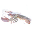 9 Inch Realistic Marine Animal Model Figurines Cyan Lobster Action Figure Toy for Kids, Science Educational Toy, Collection