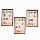 Rock & Mineral Collection Educational Geology Science Toy for Kids Adults - Pack of 15