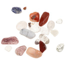 Rock and Mineral Collection Geology Gem Kit in Clear Case, Kids Earth Science Toys - Mixed Minerals