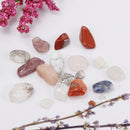 Rock and Mineral Collection Geology Gem Kit in Clear Case, Kids Earth Science Toys - Mixed Minerals