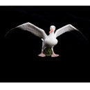 Plastic Realistic Seagull Bird Model Wildlife Jungle Forest Ocean Animals Action Figure Toys Pet Playset, Eduactional Toys Kids Toddler Collectibles