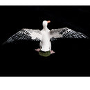 Plastic Realistic Seagull Bird Model Wildlife Jungle Forest Ocean Animals Action Figure Toys Pet Playset, Eduactional Toys Kids Toddler Collectibles