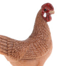 Realistic Simulation Hen Chicken Family Farm Animal Model Action Figure for Kids Home Desk Decor