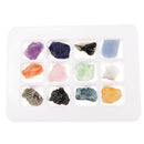 Rock & Mineral Collection PK546-5 Geology Science Kit Earth Science Toy - Pack Of 12