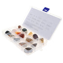 Geology Science Kit - Rock and Mineral Collection in Clear Collection Box