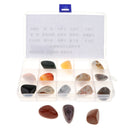 Geology Science Kit - Rock and Mineral Collection in Clear Collection Box