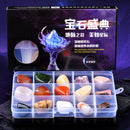 Geology Science Kit - Rock and Mineral Collection in Clear Collection Box