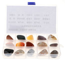 Geology Science Kit - Rock and Mineral Collection in Clear Collection Box