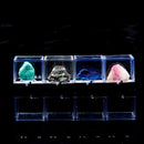 3x3x3.5cm Transparent Dustproof Display Case with Balck Base For Rock & Mineral Collection