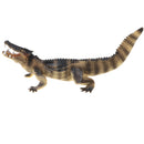 9.8 Inch Plastic BoarCroc Wild Animal Figurine Toy for Kids Toddlers, Kids Birthday Christmas Gift Home Desk Decor