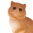 Plastic Realistic Persian Cat Action Figure Kitten Pet Model Wildlife Jungle Animals Playset Eduactional Kids Child Toys Collectibles