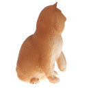 Plastic Realistic Persian Cat Action Figure Kitten Pet Model Wildlife Jungle Animals Playset Eduactional Kids Child Toys Collectibles