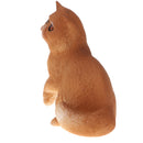 Plastic Realistic Persian Cat Action Figure Kitten Pet Model Wildlife Jungle Animals Playset Eduactional Kids Child Toys Collectibles