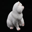 Plastic Realistic Persian Cat Action Figure Kitten Pet Model Wildlife Jungle Animals Playset Eduactional Kids Child Toys Collectibles - White