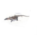Plastic Reptile Figurine Toy for Kids Toddlers, Monitor Lizard Model, Children Birthday Christmas Gift Home Decor