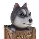 Resin Husky Money Box Money Jar Money Box Piggy Bank Coin Bank , Puppy Dog Figure Kid Toy Statue Pet Model Gift Desktop Decor