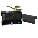 150x98mm Plant Lucipetal Box Growing Phototropism Demonstration Kids Biology Learning Science Toy