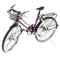 1/10 Scale Simulation Alloy Diecast Racing Exquisite Bike Sport Bicycle Model Hobbies Games Toy Collections Purple