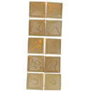 Set of 10 Assorted Geographic Terrains Model Montessori Sensory Teaching Aids Children Educational Toy