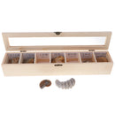 7pcs/ Box Educational Geology Biology Science Kit - Rock and Mineral Collection Natural Paleontological Specimens in a Display Case School Supplies