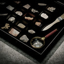 Educational Science Set NATURAL SPECIMENS COLLECTION KIT (30pcs) with Magnifier & Brush